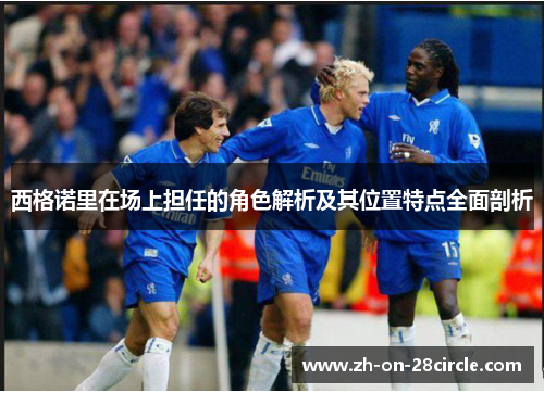 西格诺里在场上担任的角色解析及其位置特点全面剖析
